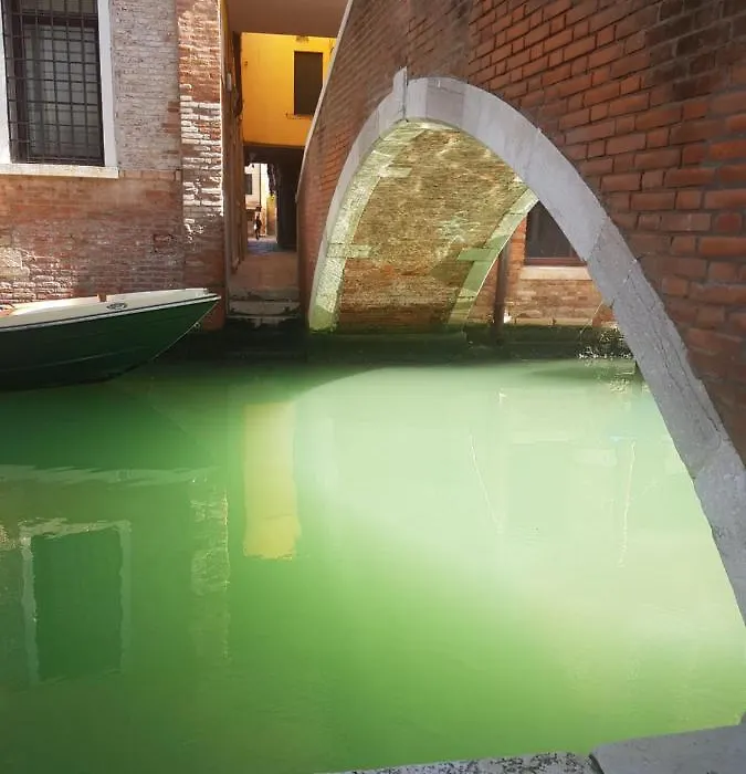 The Secret Garden In The Very Heart Of Venice-1